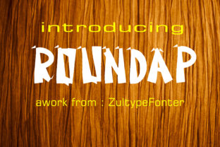 Roundap: A Bold Display Font for Playful Branding