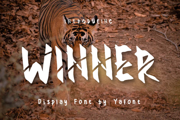 Winner: The Bold Display Font for Marketers